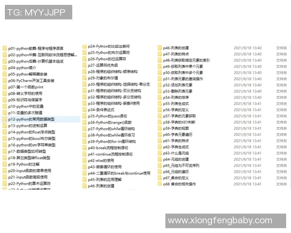 从零起步掌握篮球意识的全面指南与实战技巧解析