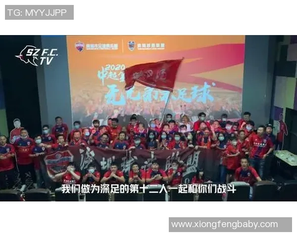 深圳足球队在冠军赛中的团队协作表现分析与总结