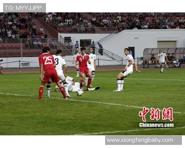 波黑足球明星的传奇之路与辉煌成就解析