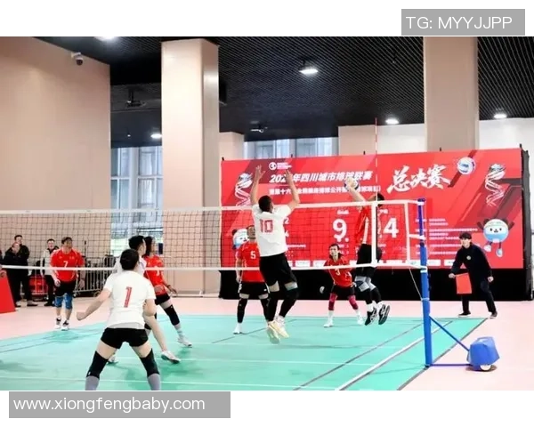 成都排球队迎来速度革命引发热议与关注