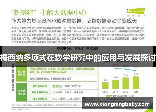 梅西纳多项式在数学研究中的应用与发展探讨