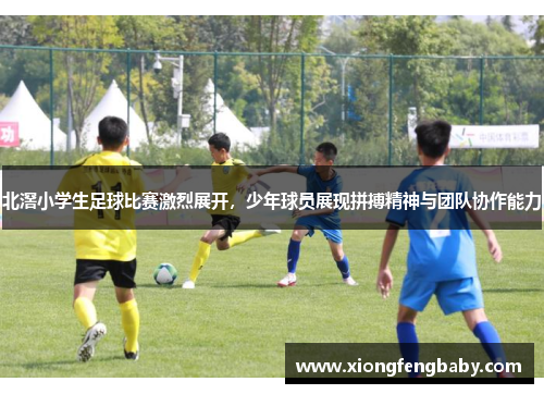 北滘小学生足球比赛激烈展开，少年球员展现拼搏精神与团队协作能力