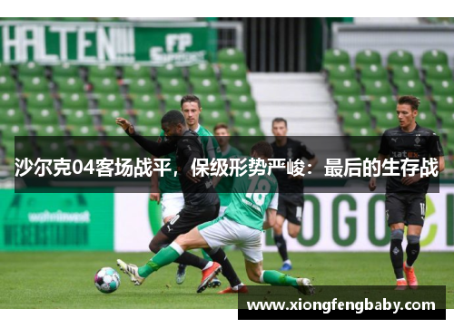 沙尔克04客场战平，保级形势严峻：最后的生存战