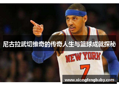 尼古拉武切维奇的传奇人生与篮球成就探秘