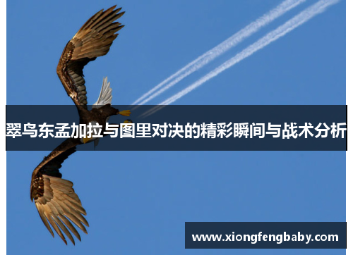 翠鸟东孟加拉与图里对决的精彩瞬间与战术分析