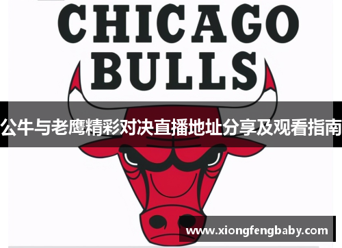 公牛与老鹰精彩对决直播地址分享及观看指南