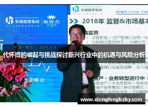 代怀博的崛起与挑战探讨新兴行业中的机遇与风险分析